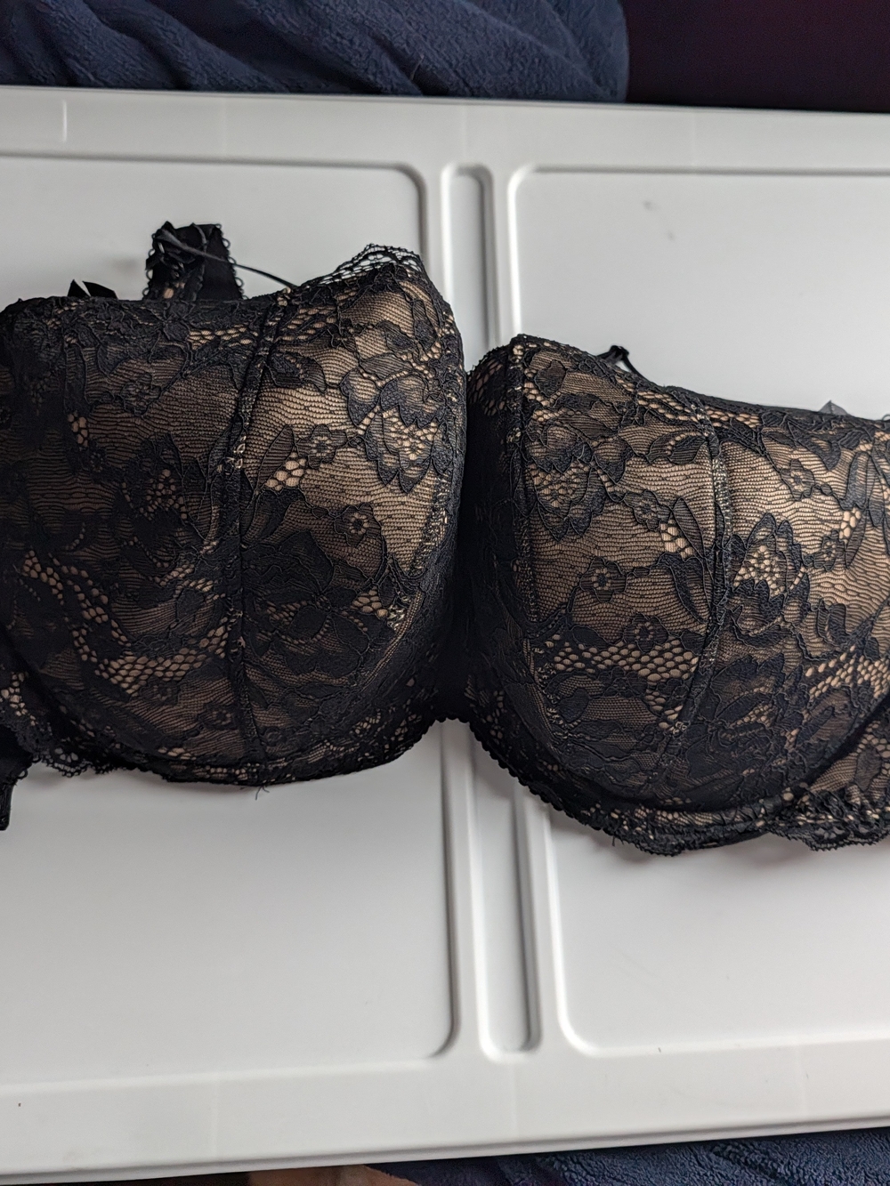 Lace Overlay Strapless Bra in Black